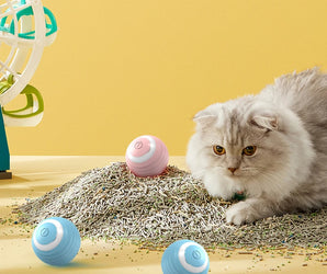 Automatic Rolling Cat Toy Ball