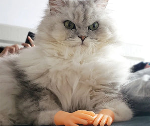 Adorable Cat gloves