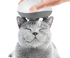 Electric cat head massager